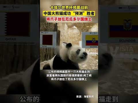 李武军,年新征程,力争开门红,开云足球,足球赛事中心,足球比赛资讯,足球赛事数据,足球赛事平台
